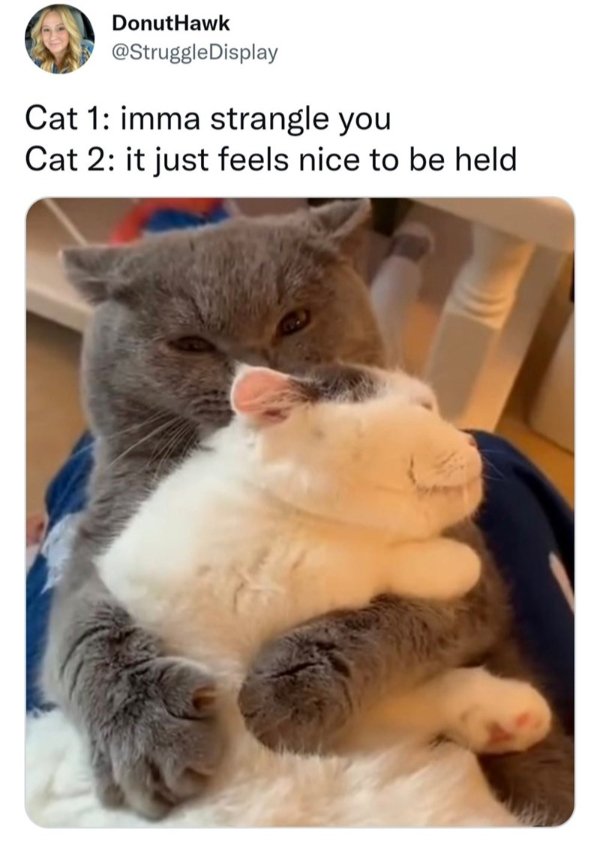 Kind Memes (24 pics)