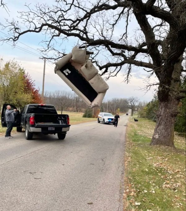 What Is Going On Here? (22 pics)