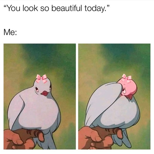 Kind Memes (24 pics)