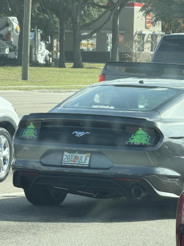 Interesting Finds (24 pics)