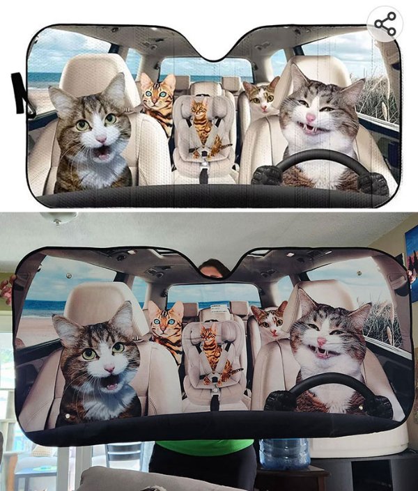 When Expectations Match Reality (25 pics)