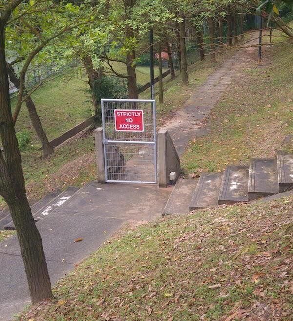 What Is Going On Here? (22 pics)