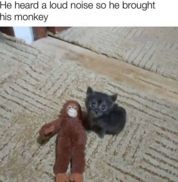 Kind Memes (24 pics)