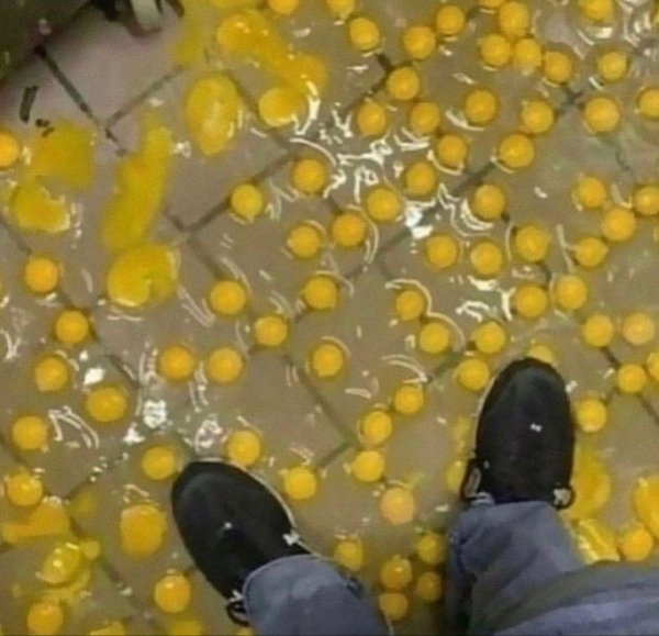 What Is Going On Here? (22 pics)