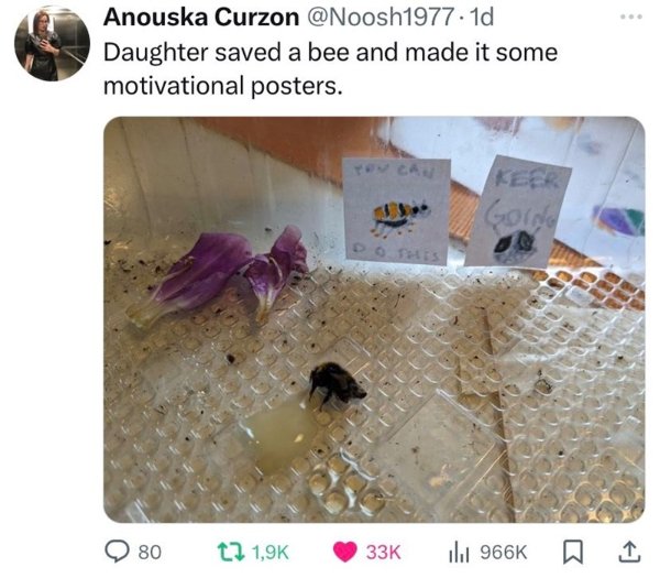 Kind Memes (24 pics)