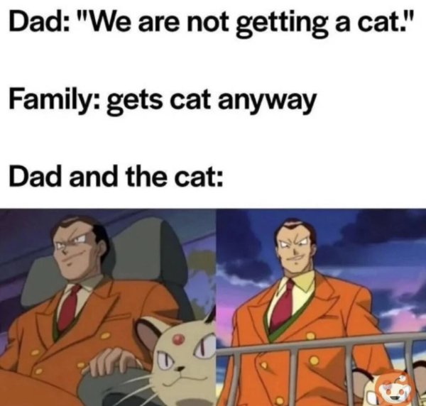 Kind Memes (24 pics)