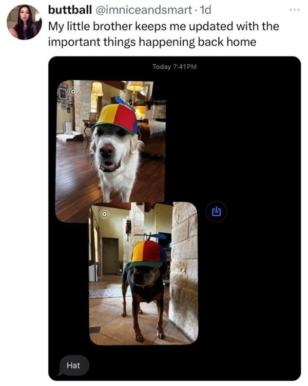 Kind Memes (24 pics)