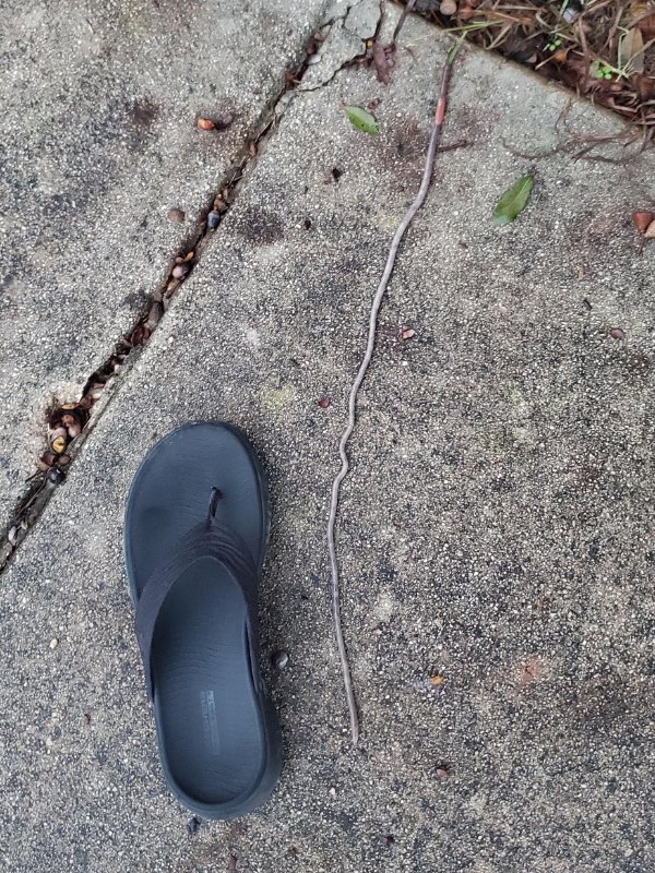 Interesting Finds (24 pics)