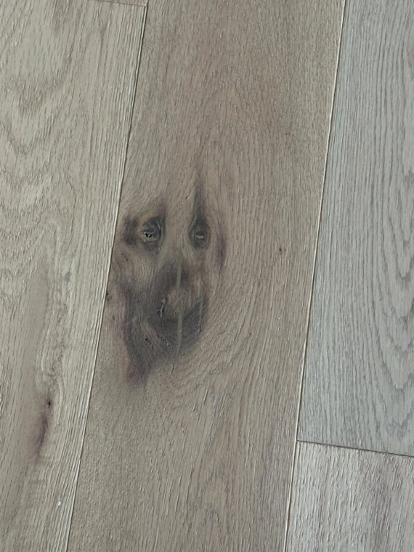 Interesting Finds (24 pics)