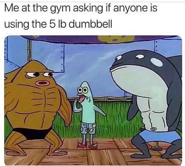 Gym Memes (28 pics)