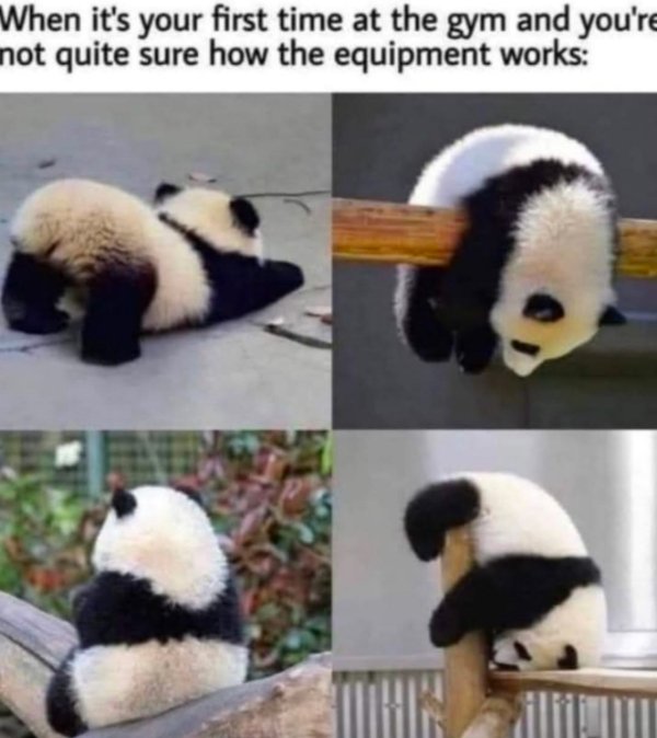 Kind Memes (24 pics)