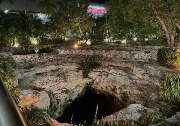 Interesting Finds (24 pics)