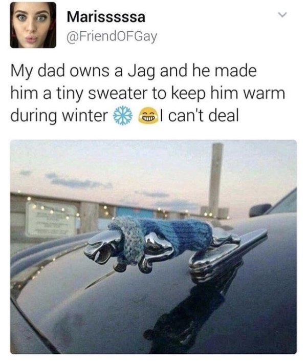 Kind Posts For A Good Mood (29 pics)