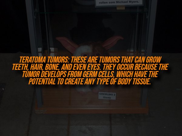 Creepy Facts (14 pics) Creepy Facts (14 pics)