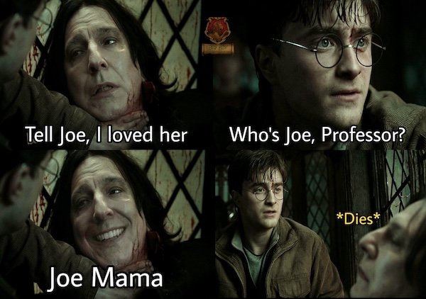 Memes For ''Harry Potter'' Fans (20 pics)