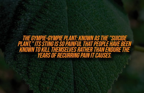 Creepy Facts (14 pics) Creepy Facts (14 pics)