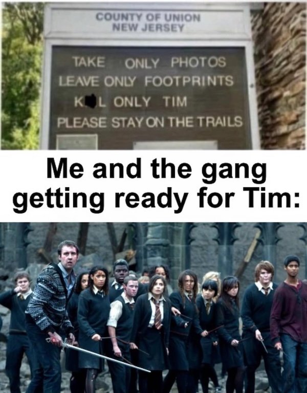 Memes For ''Harry Potter'' Fans (20 pics)