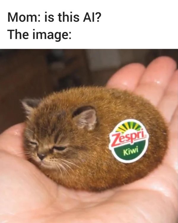 Random Memes (31 pics)