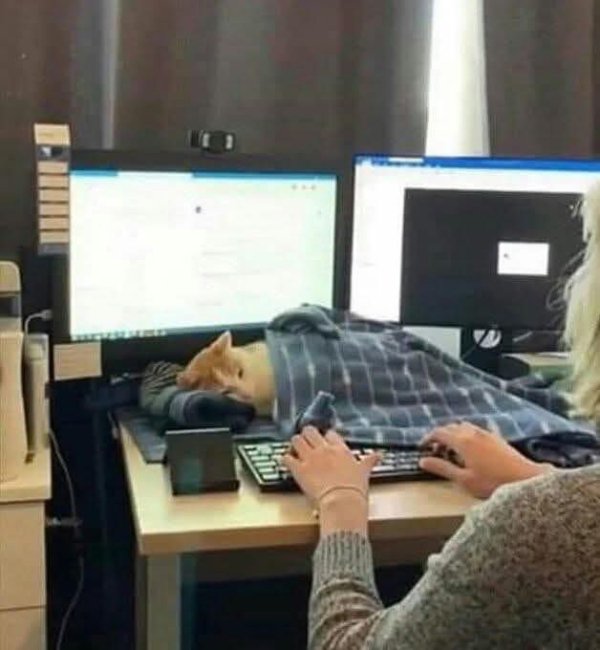 Hilarious Jokes (27 pics)