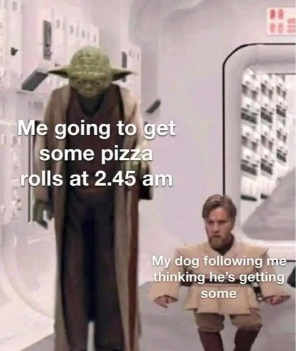 Funny Memes (30 pics)