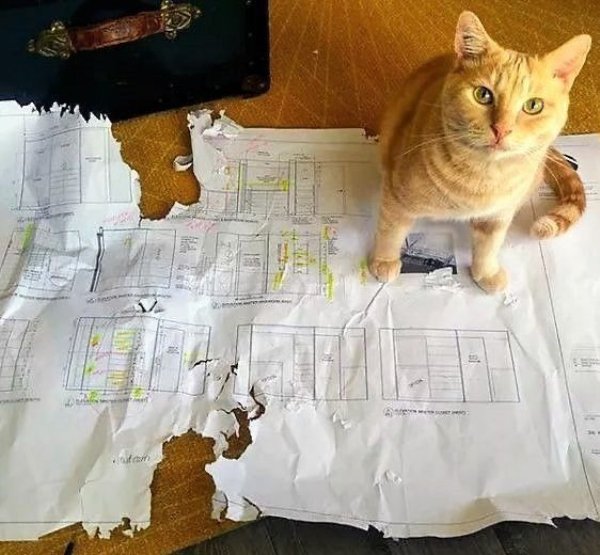 Hilarious Jokes (27 pics)