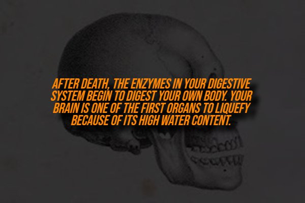 Creepy Facts (14 pics) Creepy Facts (14 pics)