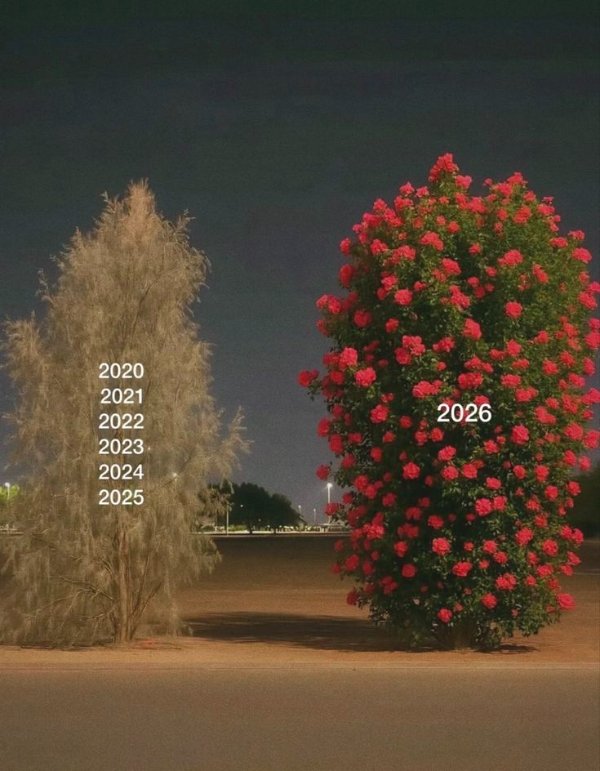 Hilarious Jokes (27 pics)