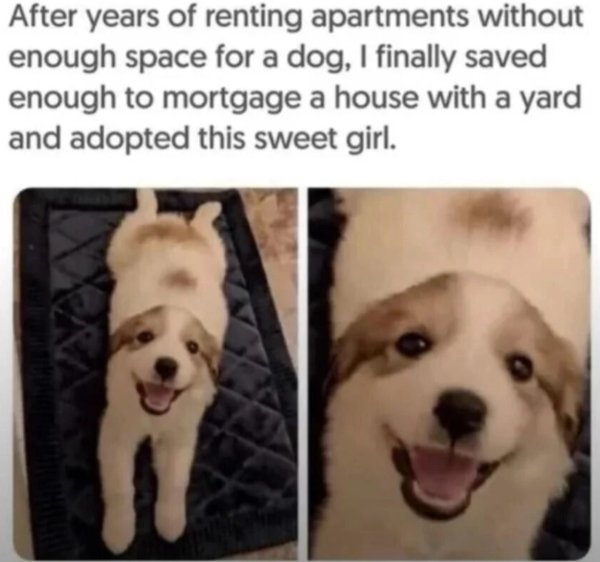 Kind Posts For A Good Mood (29 pics)