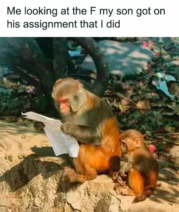 Parenting Memes (26 pics)