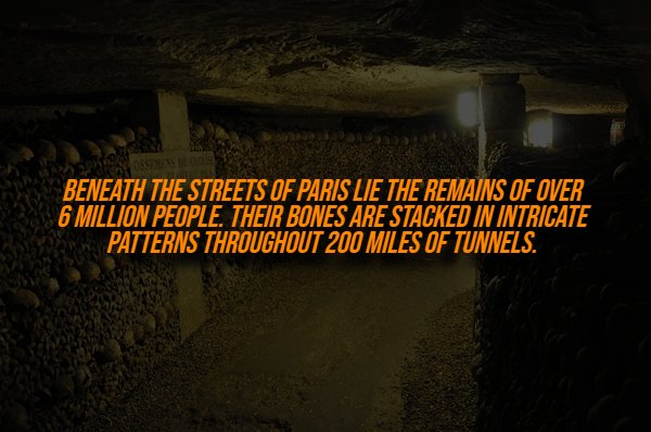 Creepy Facts (14 pics) Creepy Facts (14 pics)