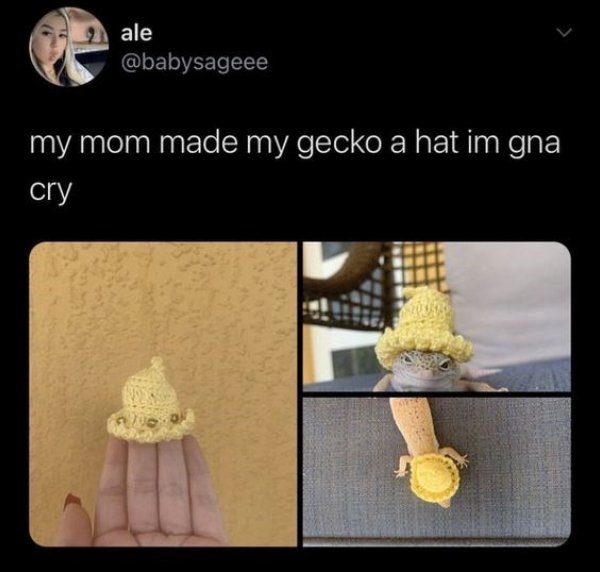 Kind Posts For A Good Mood (29 pics)