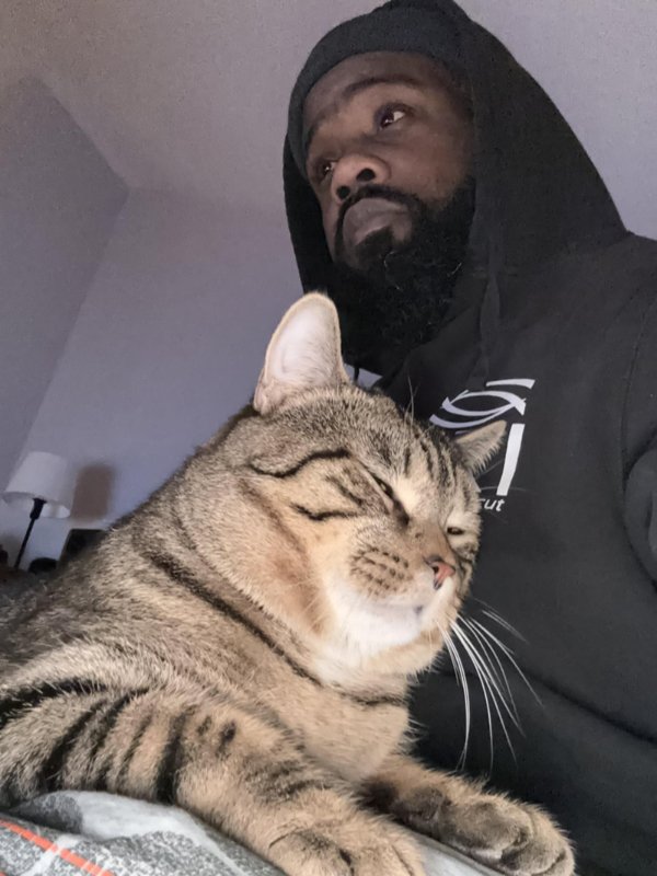 Funny And Cute Cats (35 pics)