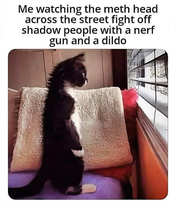 Funny Memes (30 pics)