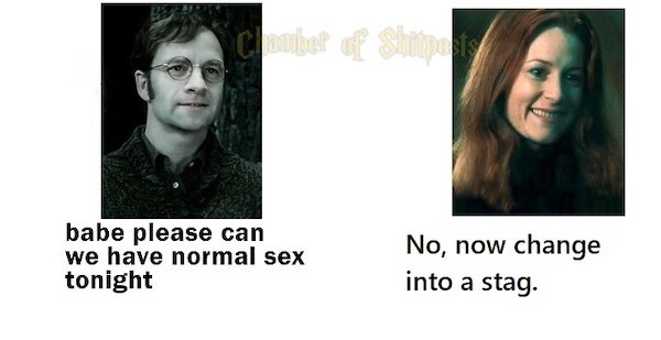 Memes For ''Harry Potter'' Fans (20 pics)
