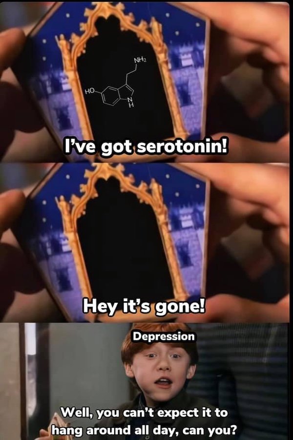 Memes For ''Harry Potter'' Fans (20 pics)