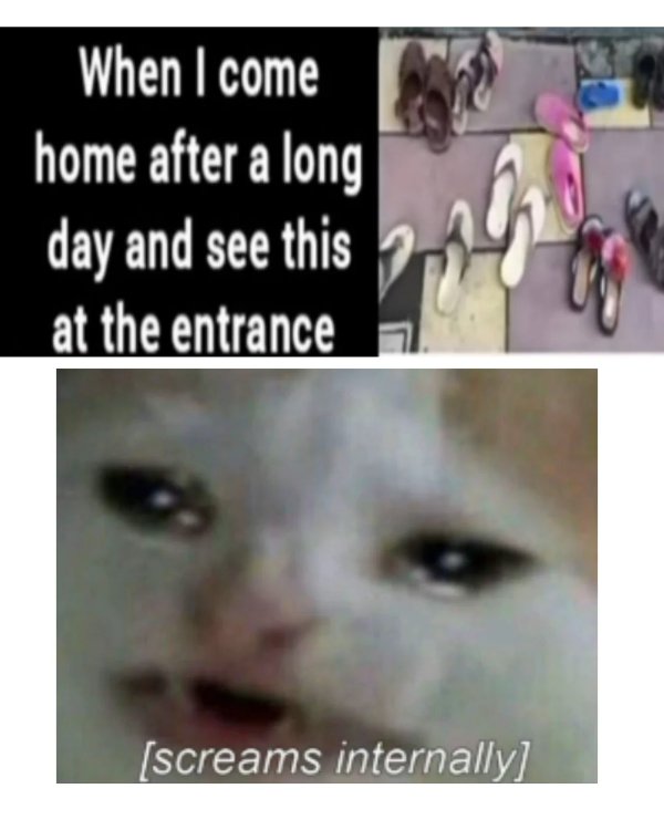 Random Memes (31 pics)