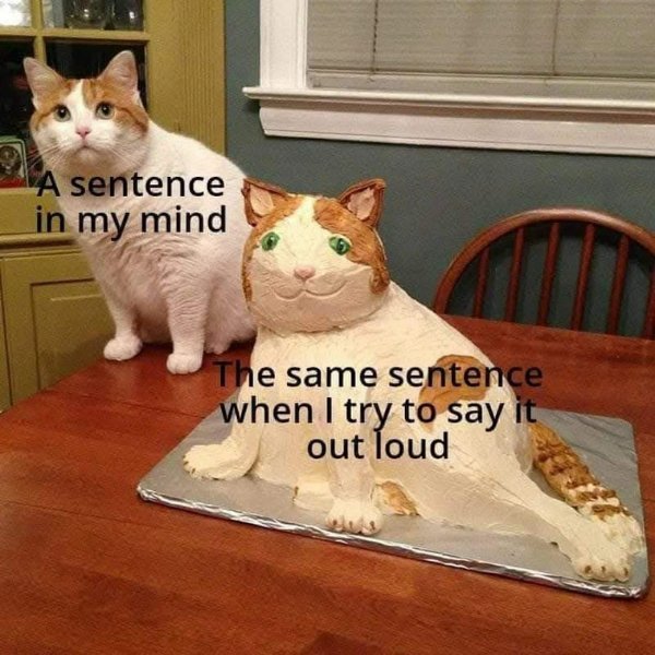 Funny Memes (30 pics)