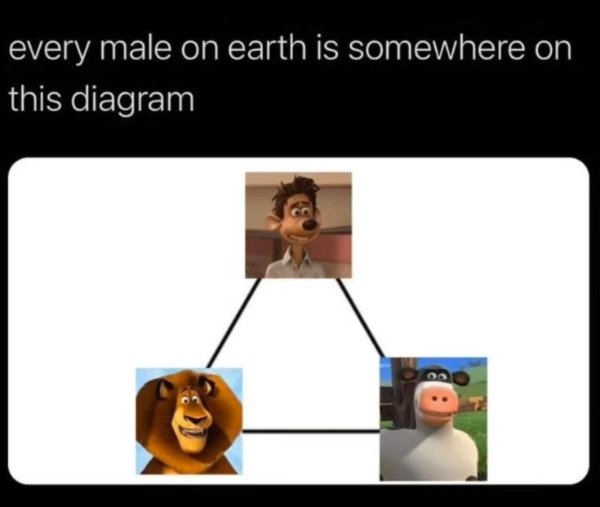 Hilarious Jokes (27 pics)