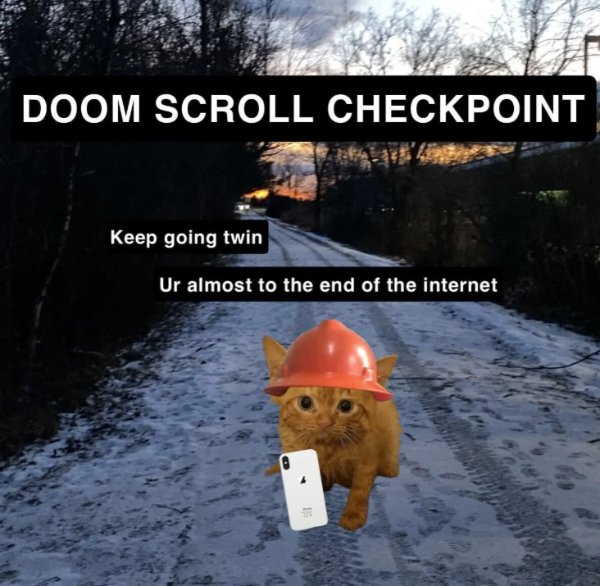 Kind Posts For A Good Mood (29 pics)