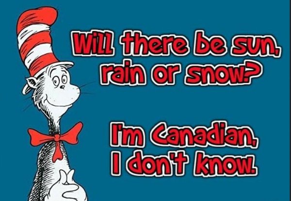 Weird Photos From Canada (24 pics)