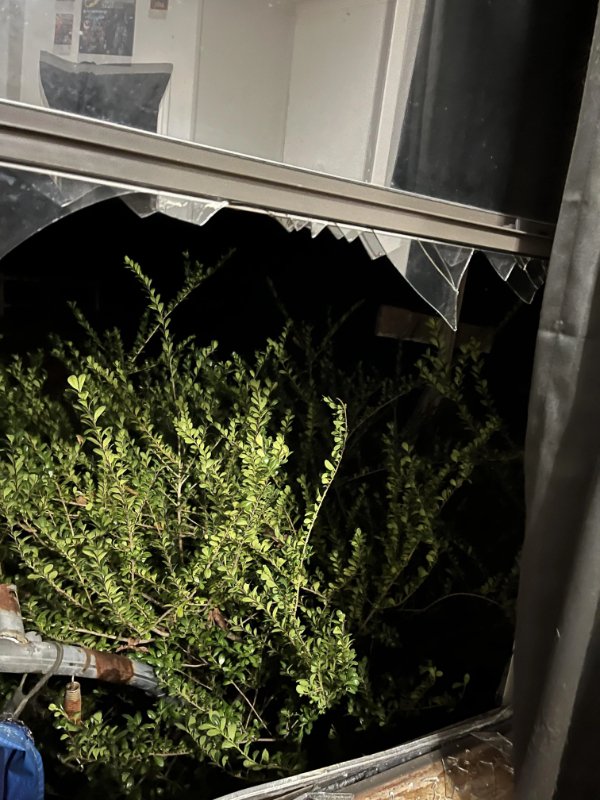 Bad Days Happen (21 pics)