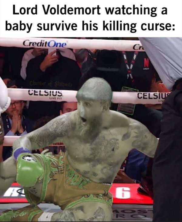 Memes For ''Harry Potter'' Fans (20 pics)