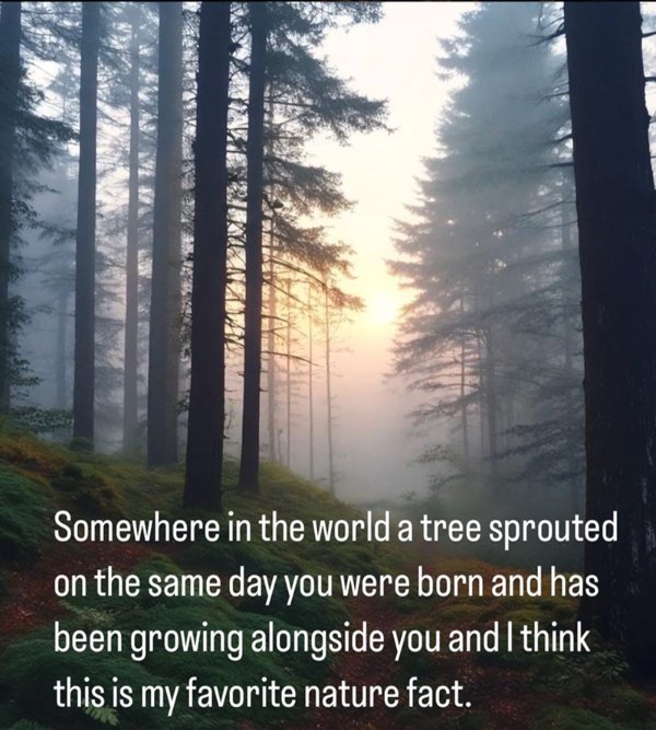 Kind Posts For A Good Mood (29 pics)