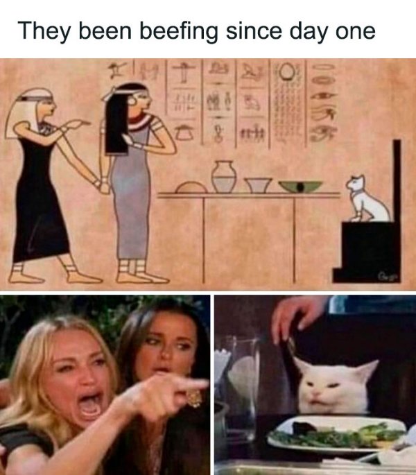 Historical Memes (32 pics)