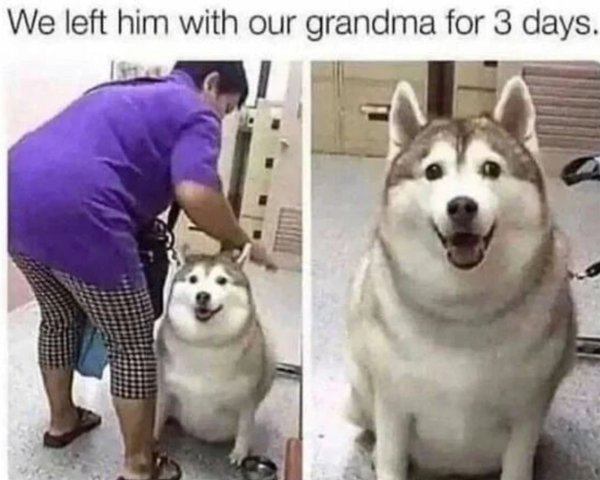 Kind Posts For A Good Mood (29 pics)