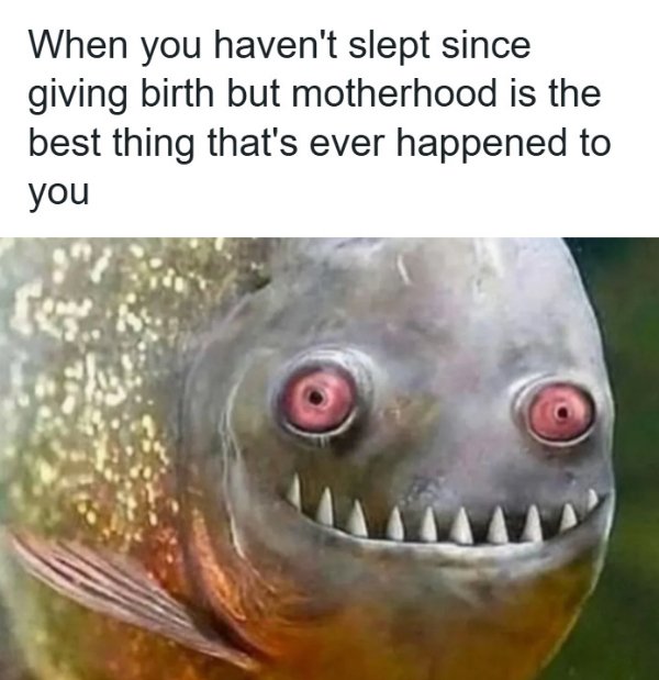 Parenting Memes (26 pics)