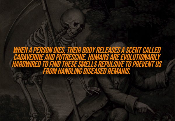 Creepy Facts (14 pics) Creepy Facts (14 pics)