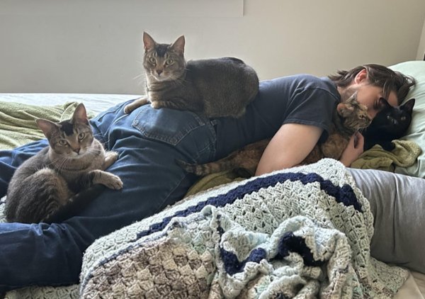 Funny And Cute Cats (35 pics)