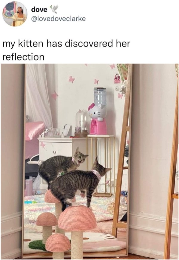 Kind Posts For A Good Mood (29 pics)