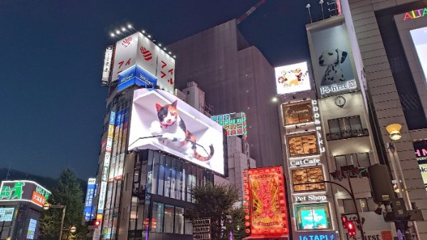 Awesome Technology In Japan (16 pics) Awesome Technology In Japan (16 pics)